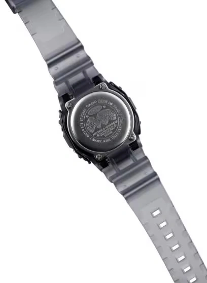 5600 SERIES - DW5600BDG231